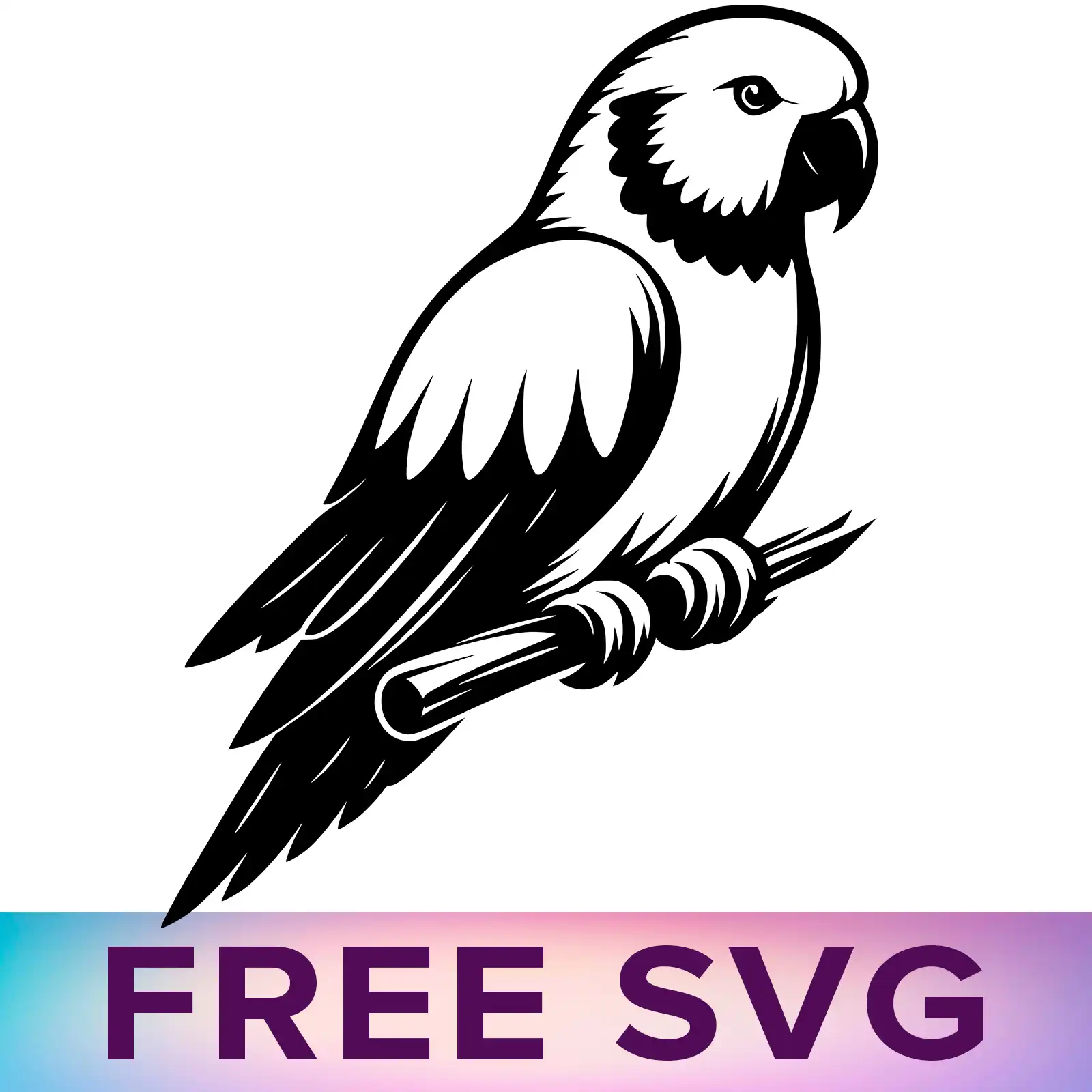 Free Parrot Svg
