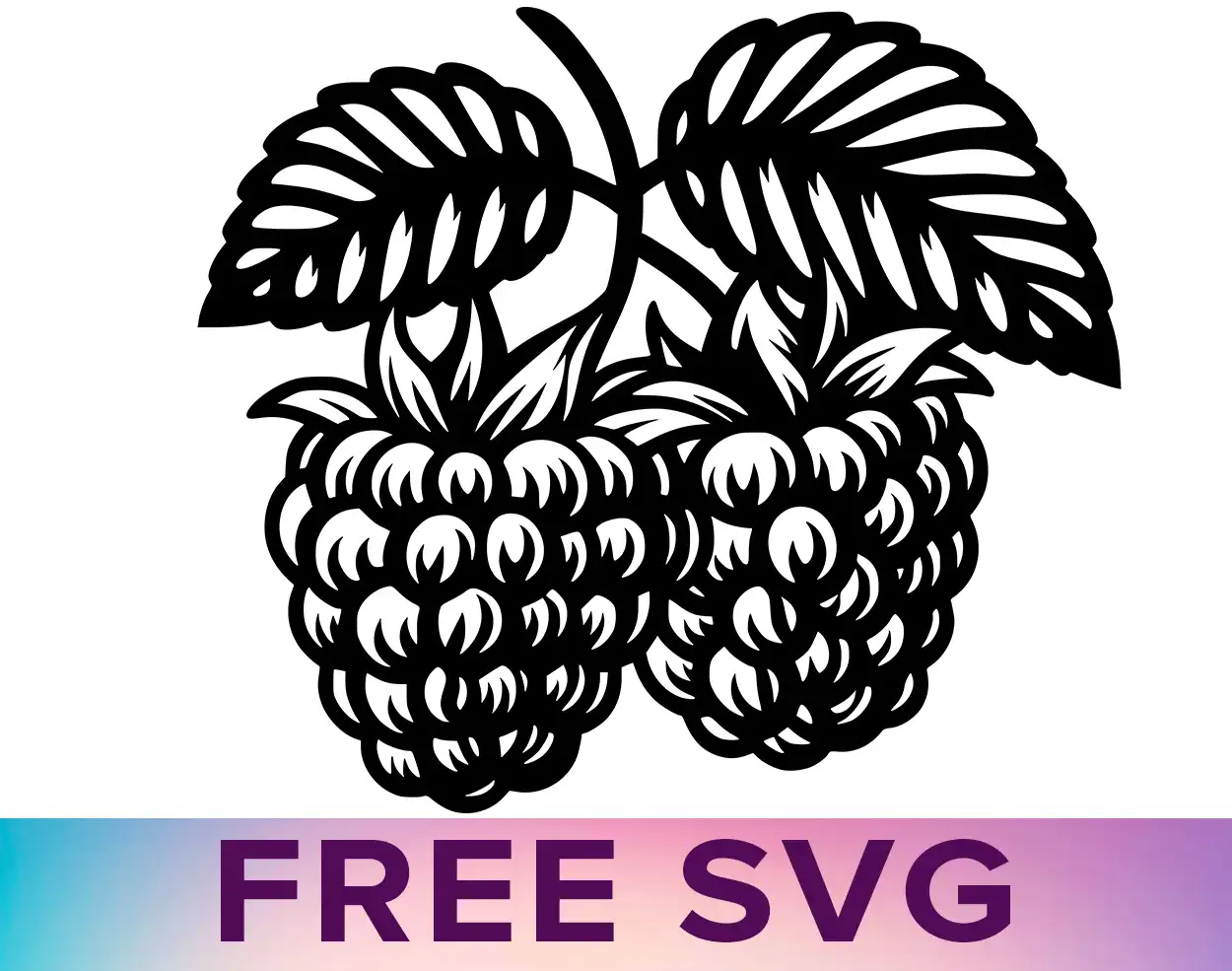 Free Raspberry Fruit Svg Free Raspberry Fruit Svg