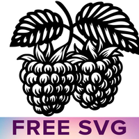 Raspberry Fruit Svg